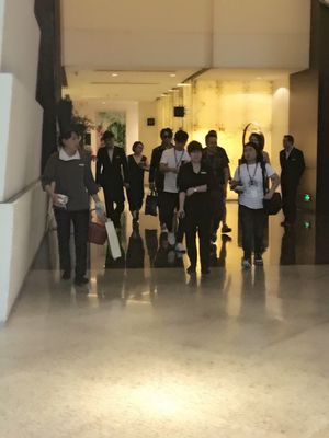 上海车秘书租车喜迎明星嘉宾，商务秘书服务彰显专业风范